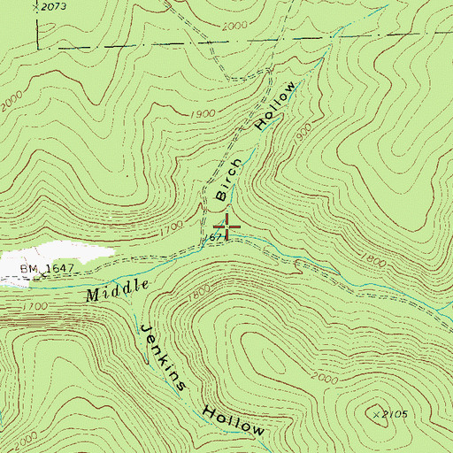 Topographic Map of Birch Hollow, PA