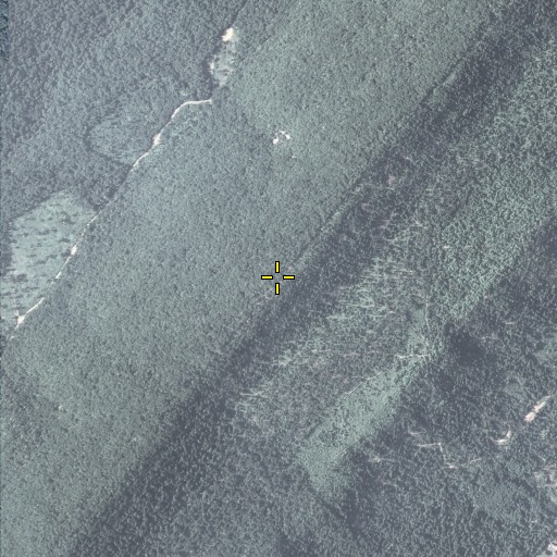 Aerial/Satellite Image of Blacklog Mountain, PA