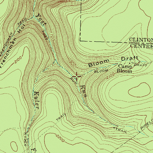 Topographic Map of Bloom Draft, PA