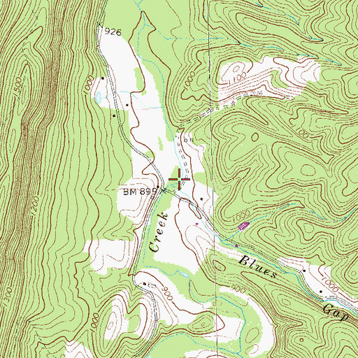 Topographic Map of Blues Gap Run, PA