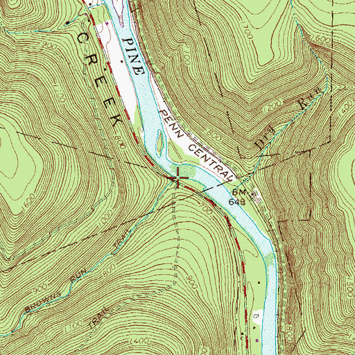 Topographic Map of Browns Run, PA