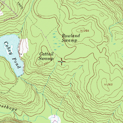 Topographic Map of Cattail Swamp, PA