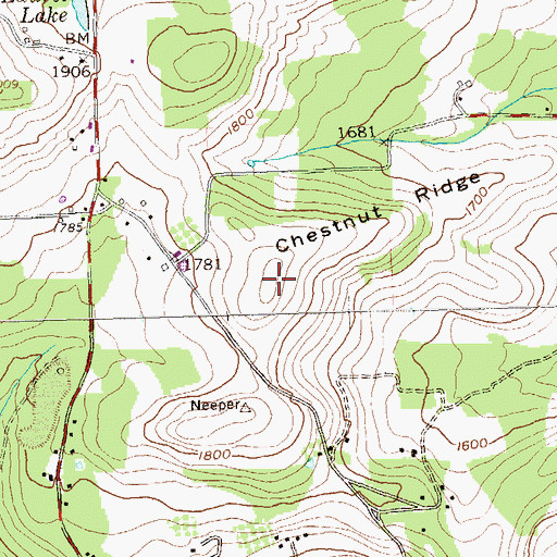 Topographic Map of Chestnut Ridge, PA