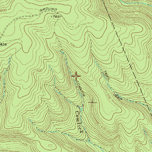 Topographic Map of Cowlick Trail, PA