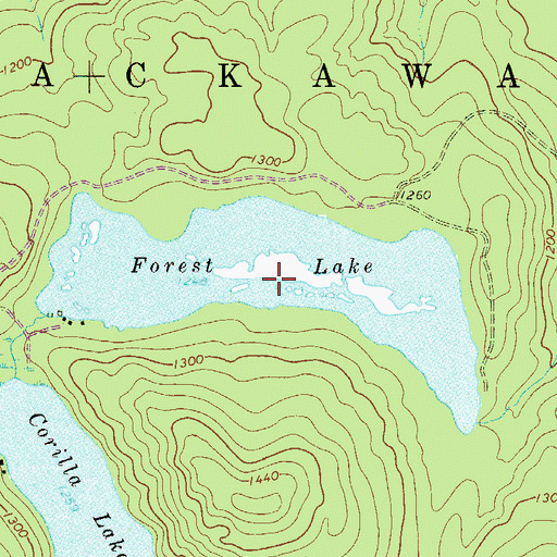 Topographic Map of Forest Lake, PA