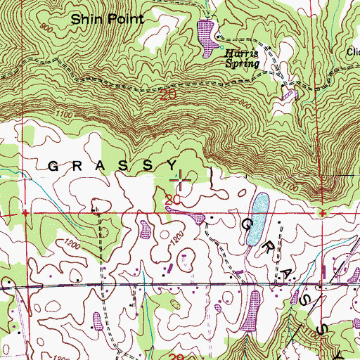 Topographic Map of Grassy Mountain, AL