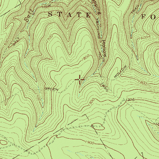 Topographic Map of Green Hollow Trail, PA