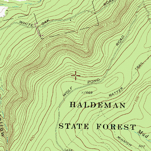 Topographic Map of Haldeman State Forest, PA