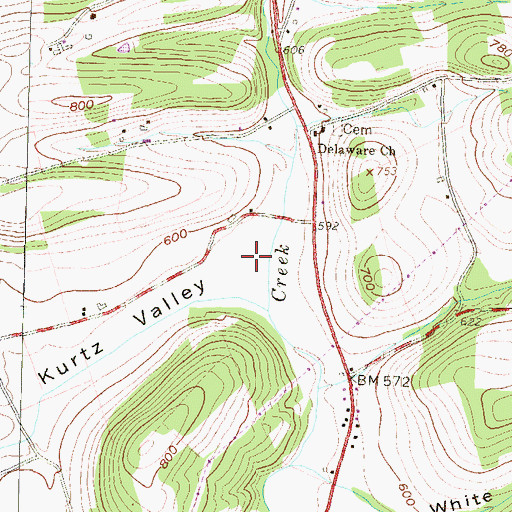 Topographic Map of Kurtz Valley, PA