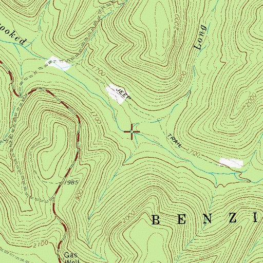Topographic Map of Long Branch, PA