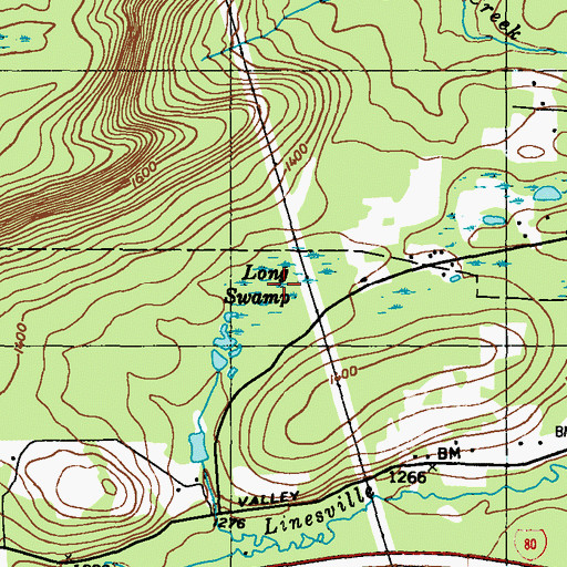 Topographic Map of Long Swamp, PA