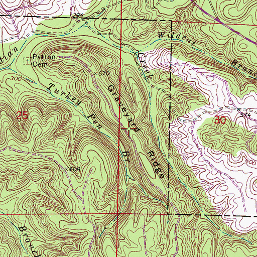 Topographic Map of Graveyard Ridge, AL