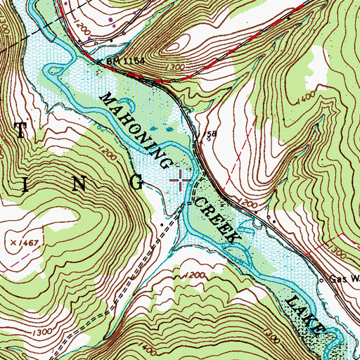 Topographic Map of Mahoning Creek Lake, PA