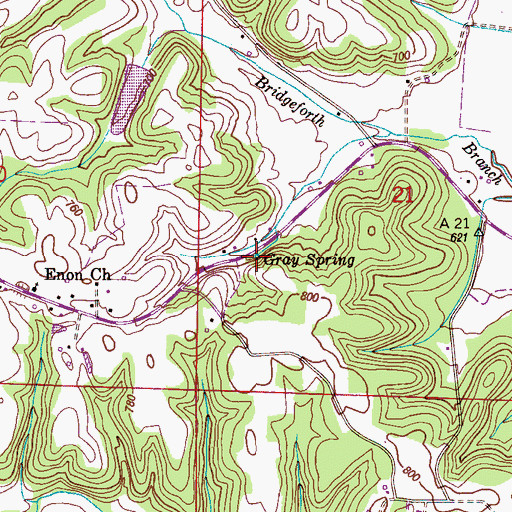 Topographic Map of Gray Spring, AL