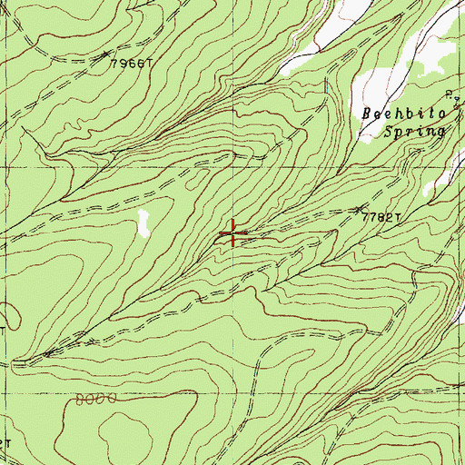 Topographic Map of Beehbito Spring, AZ