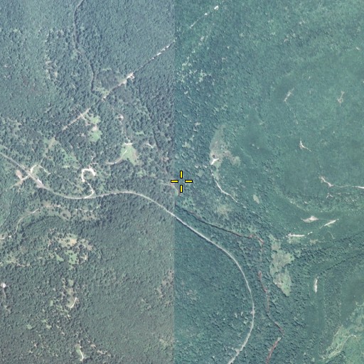 Aerial/Satellite Image of Panther Run, PA