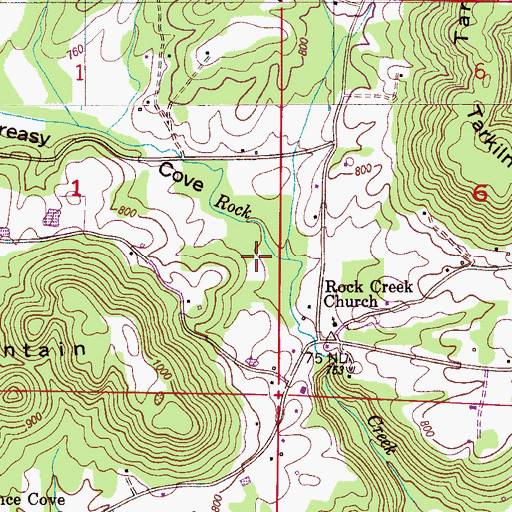 Topographic Map of Greasy Cove, AL