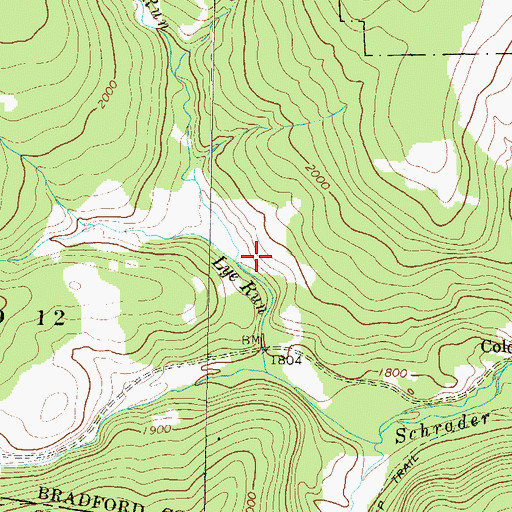 Topographic Map of Pine Swamp Run, PA