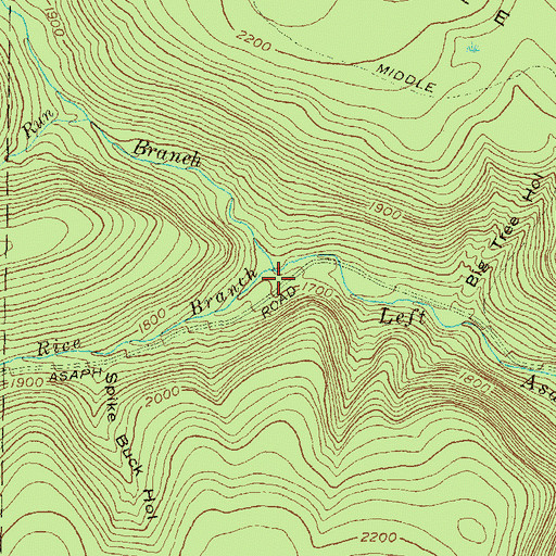 Topographic Map of Rice Branch, PA