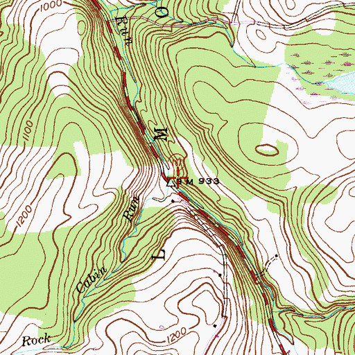Topographic Map of Rock Cabin Run, PA
