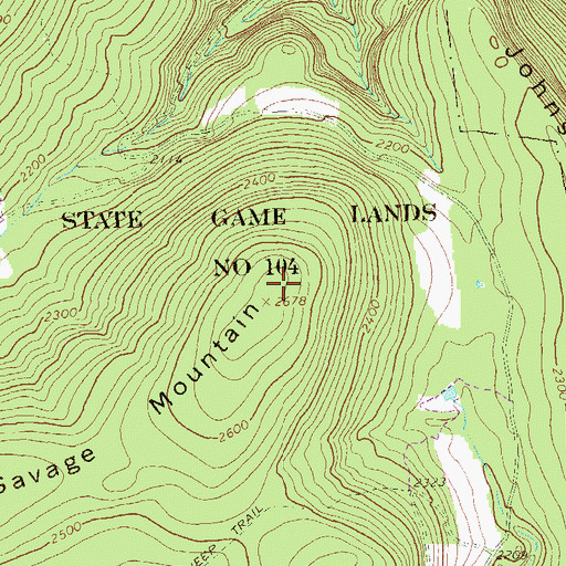 Topographic Map of Savage Mountain, PA