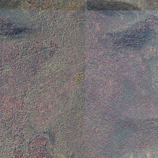 Aerial/Satellite Image of Shutman Path, PA
