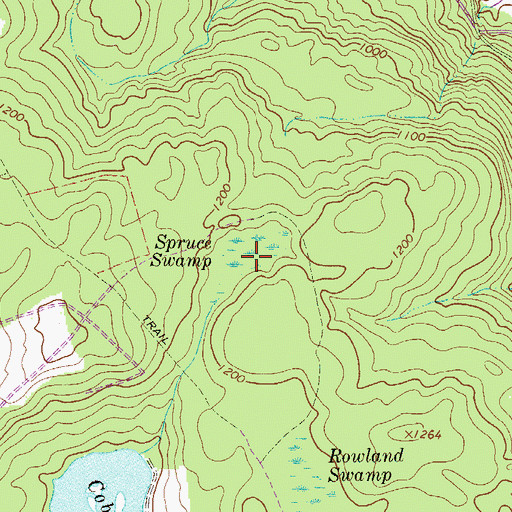 Topographic Map of Spruce Swamp, PA