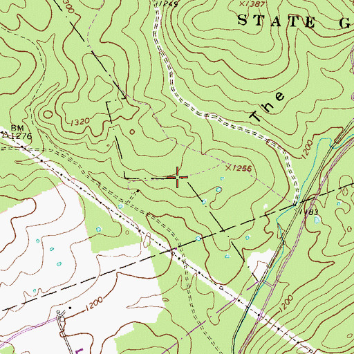 Topographic Map of The Barrens, PA