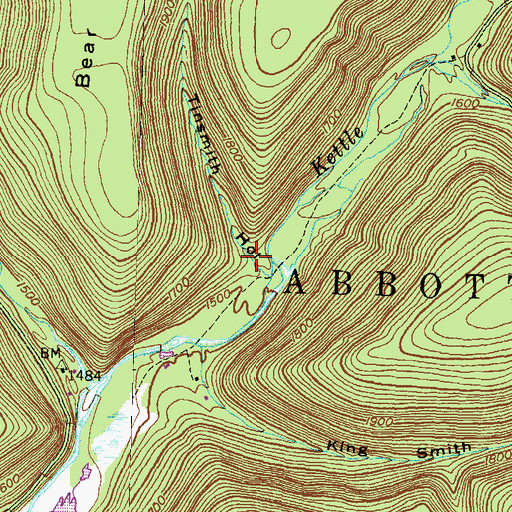 Topographic Map of Tinsmith Hollow, PA