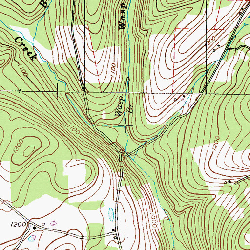 Topographic Map of Wasp Branch, PA