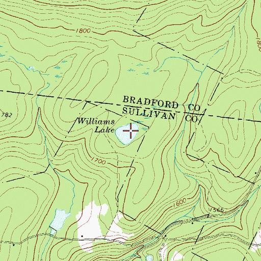 Topographic Map of Williams Lake, PA