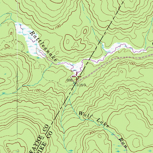 Topographic Map of Wolf Lake Run, PA