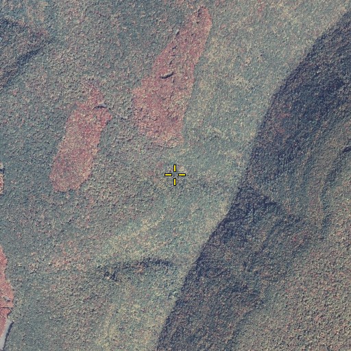 Aerial/Satellite Image of Wolf Path, PA