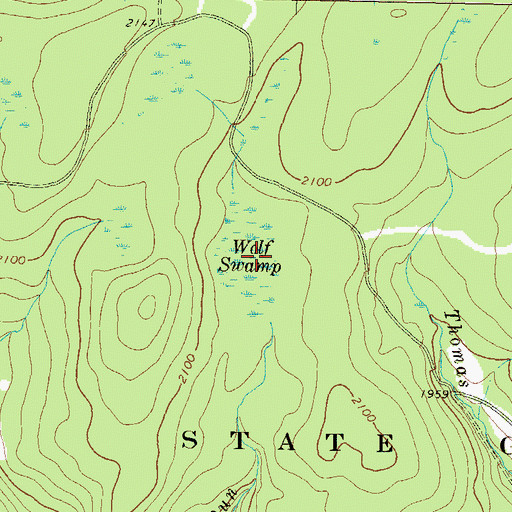 Topographic Map of Wolf Swamp, PA