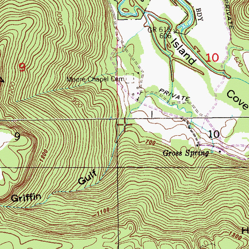 Topographic Map of Griffin Gulf, AL