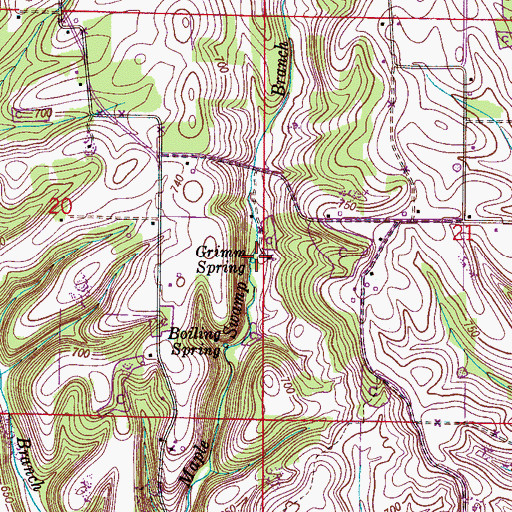 Topographic Map of Grimm Spring, AL