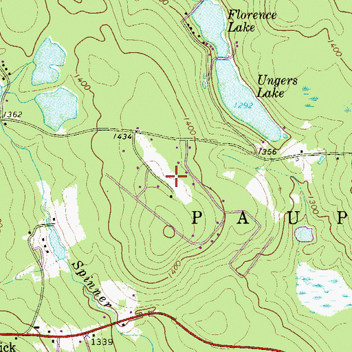 Topographic Map of Port Florence Airport (historical), PA