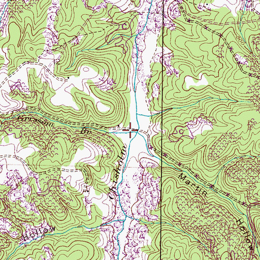 Topographic Map of Grissom Branch, AL