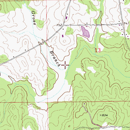 Topographic Map of Gross Branch, AL