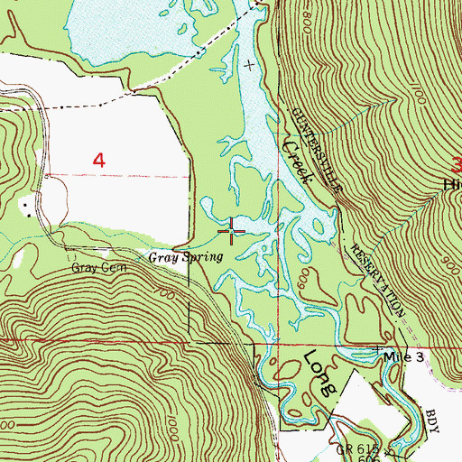 Topographic Map of Gross Branch, AL