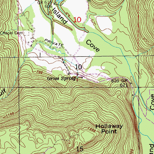 Topographic Map of Gross Spring, AL