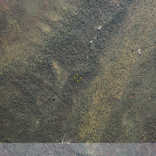 Aerial/Satellite Image of Bear Valley Dam, PA