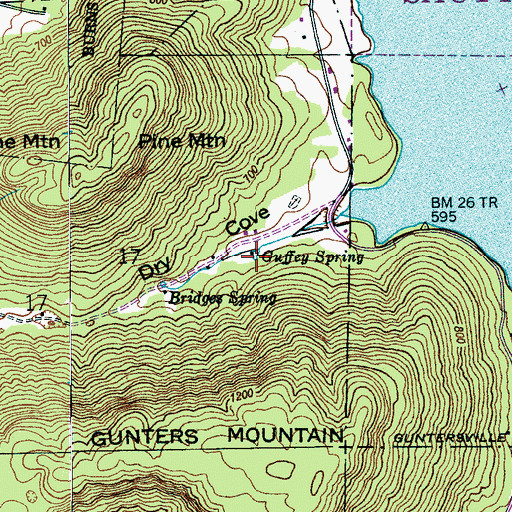 Topographic Map of Guffey Spring, AL