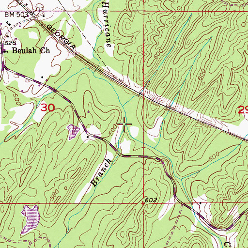 Topographic Map of Gum Branch, AL