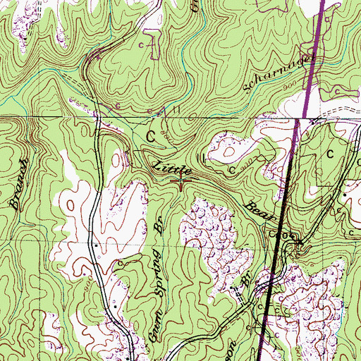 Topographic Map of Gum Spring Branch, AL