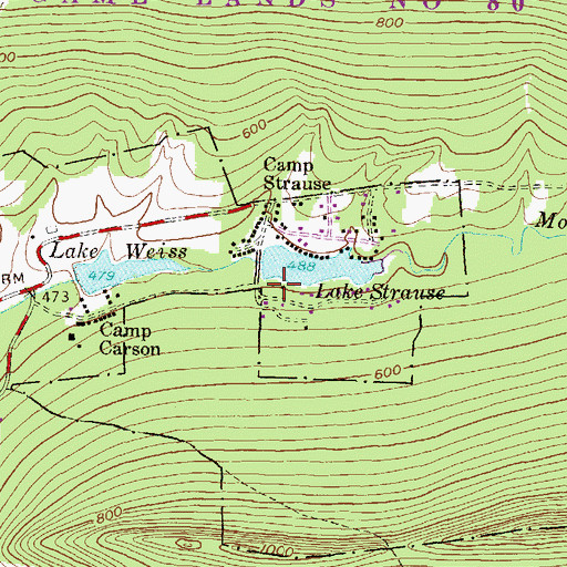 Topographic Map of Lake Strauss Dam, PA