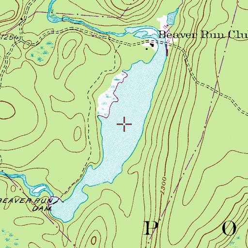 Topographic Map of Beaver Pond, PA