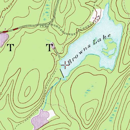 Topographic Map of Browns Lake Dam, PA