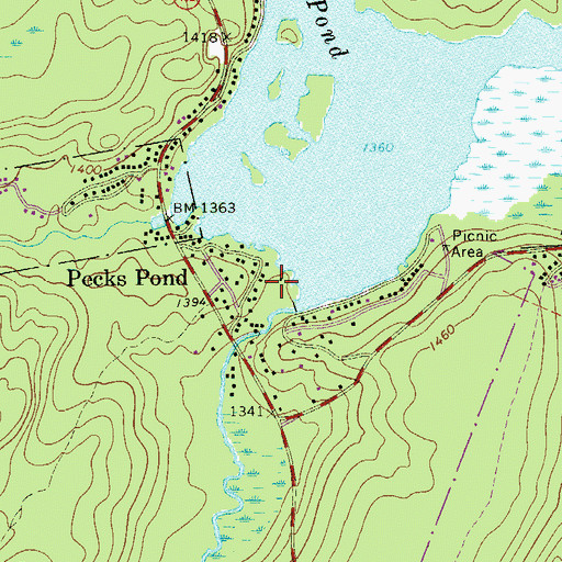 Topographic Map of Pecks Pond Dam, PA