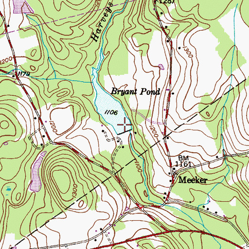Topographic Map of Bryant Pond Dam, PA